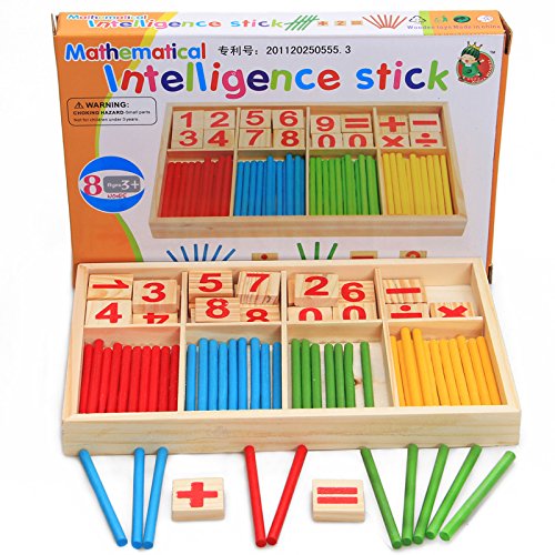 Mathematical Intelligence Stick Toy